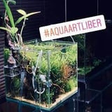 Aqua Art LIBER